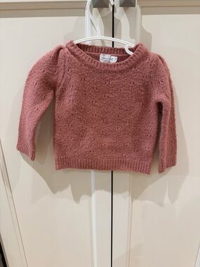Little Earthling 12-18m Dusty Rose Knit Crewneck Sweater